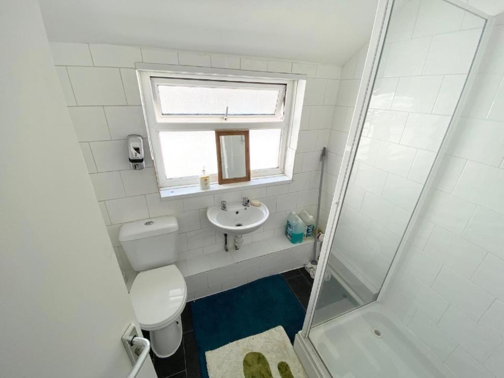 Budget Basic Mount Pleasant Share Facility R2 Homestay Swansea